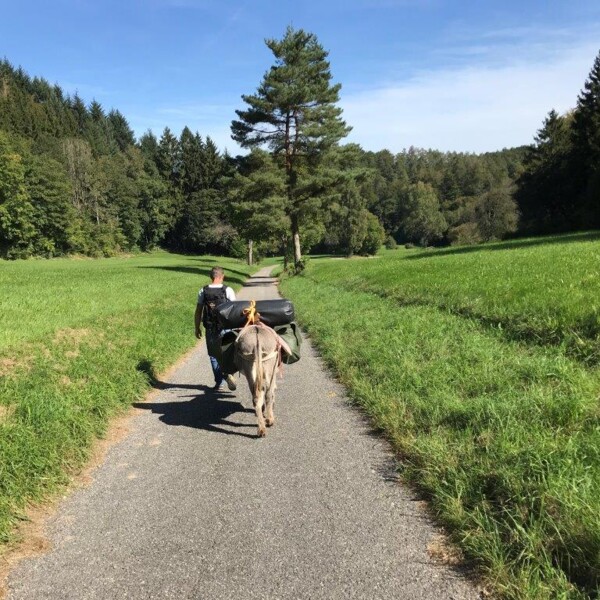 Individuelle - Eseltour